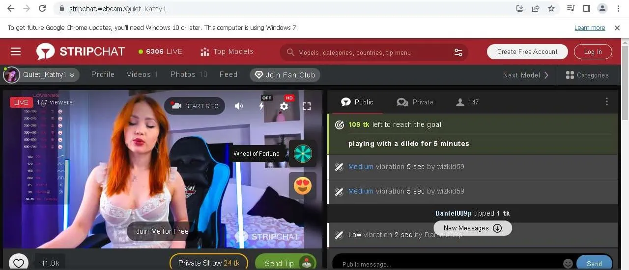 stripchat model cam